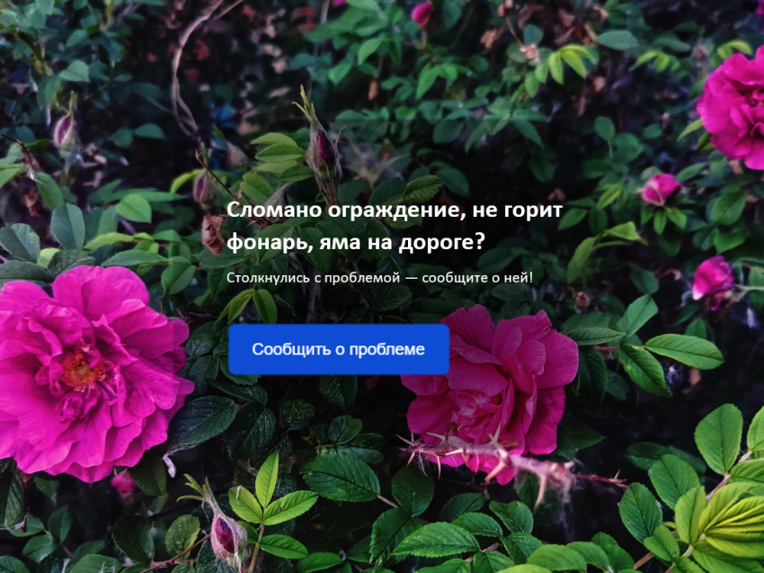 Забайкальцы находят помощь у властей через платформы обратной связи